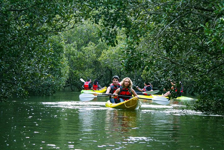 Bay of Islands Waterfall Explorer Kayaking Tour - Photo 1 of 9